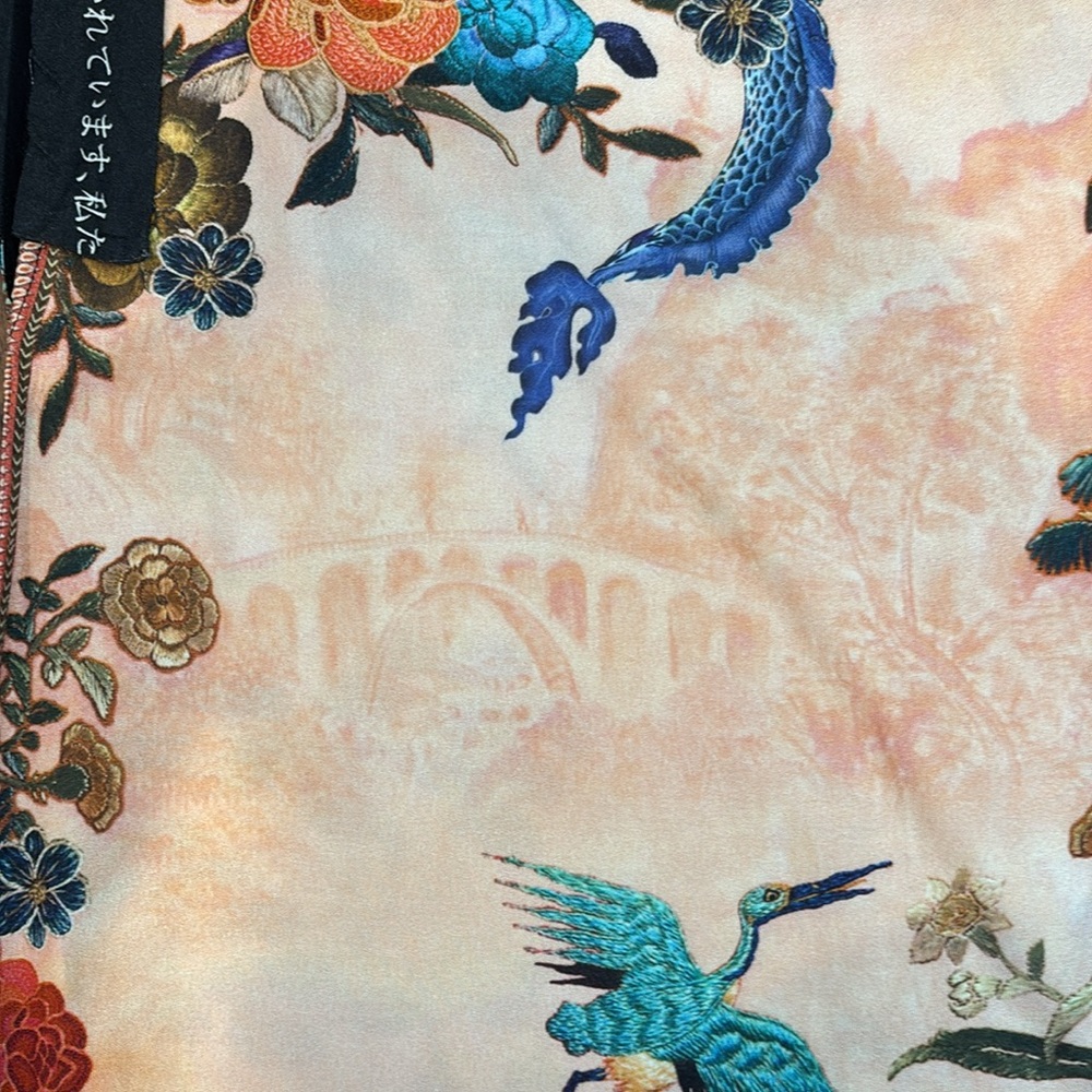 FARM Rio dress - Dragon of the Orient pullover Sheath dress - Picture 13 of 14